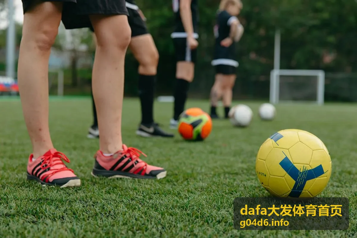 dafa大发体育多维度趋势报告